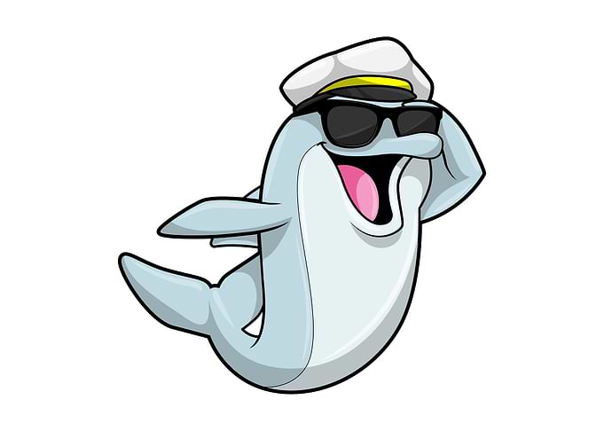 Dolphin Police Sunglasses