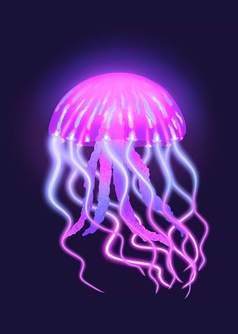 Jellyfish