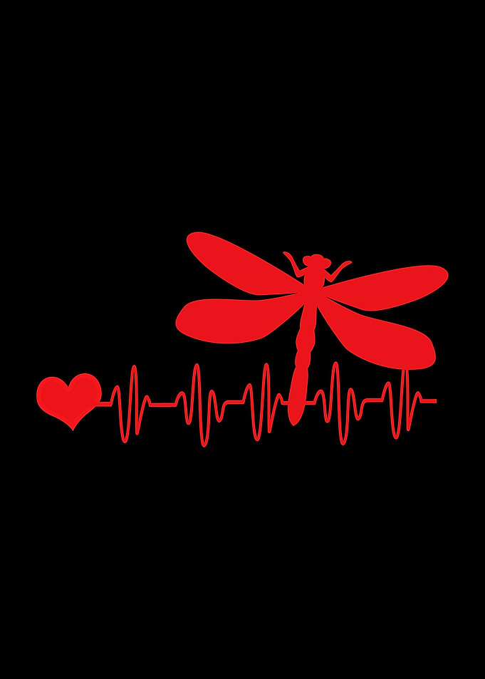 Dragonfly Hearbeat