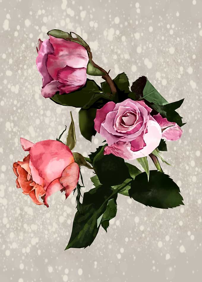 roses