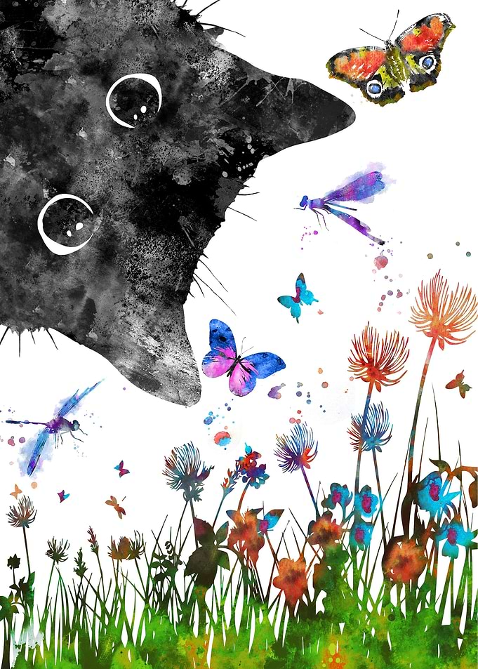 Peeking cat
