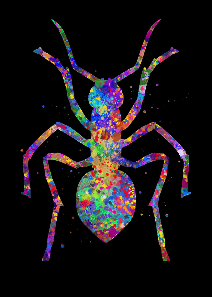 Ant watercolor art