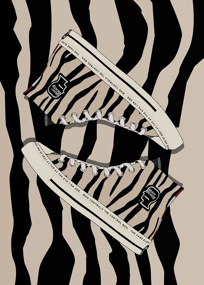 brain zebra