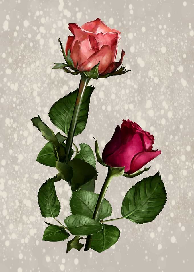 roses