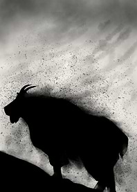 goat the watercolor
