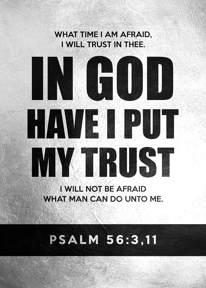 Psalm 56 3 11