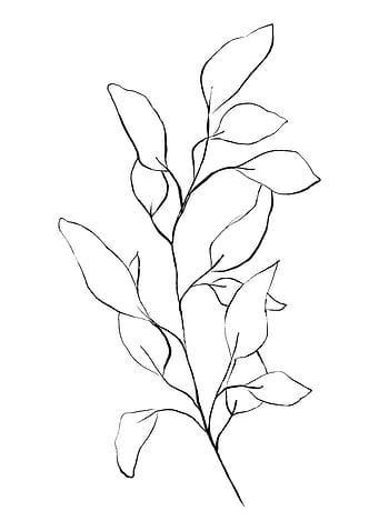 Leaves Sprouting