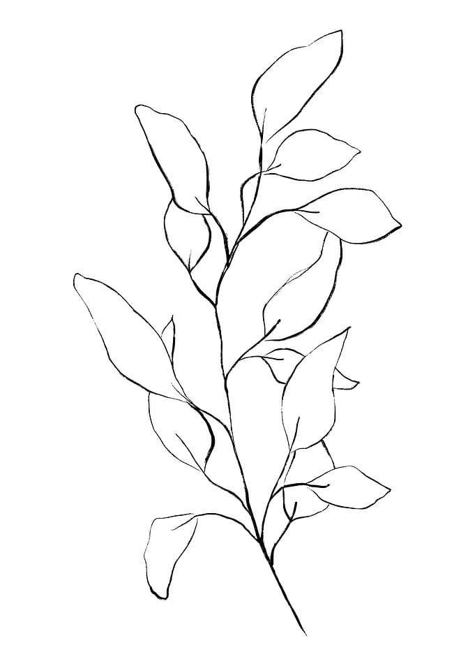 Leaves Sprouting