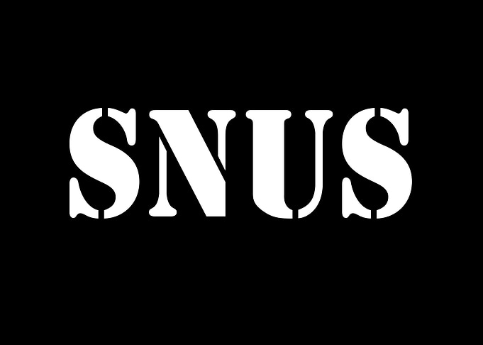 SNUS rauchfrei Nikotin