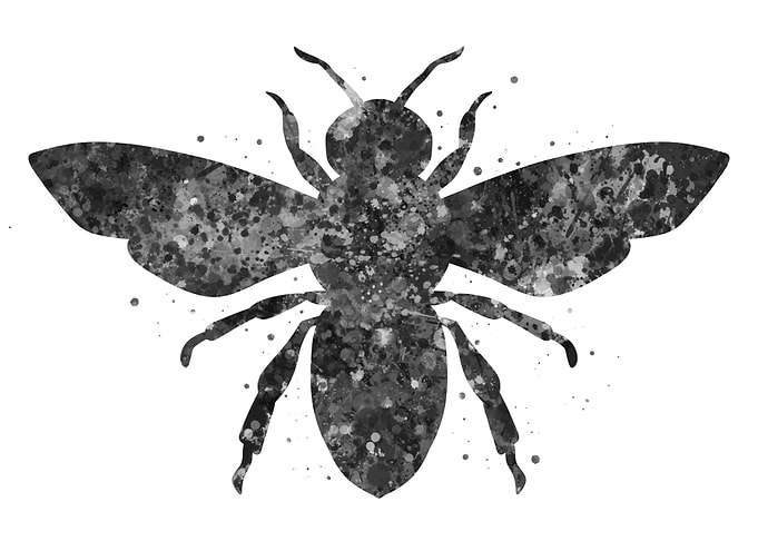 Bee animal