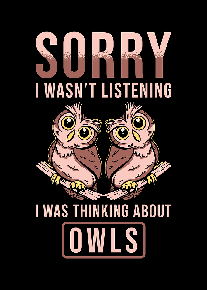 Owl Gift