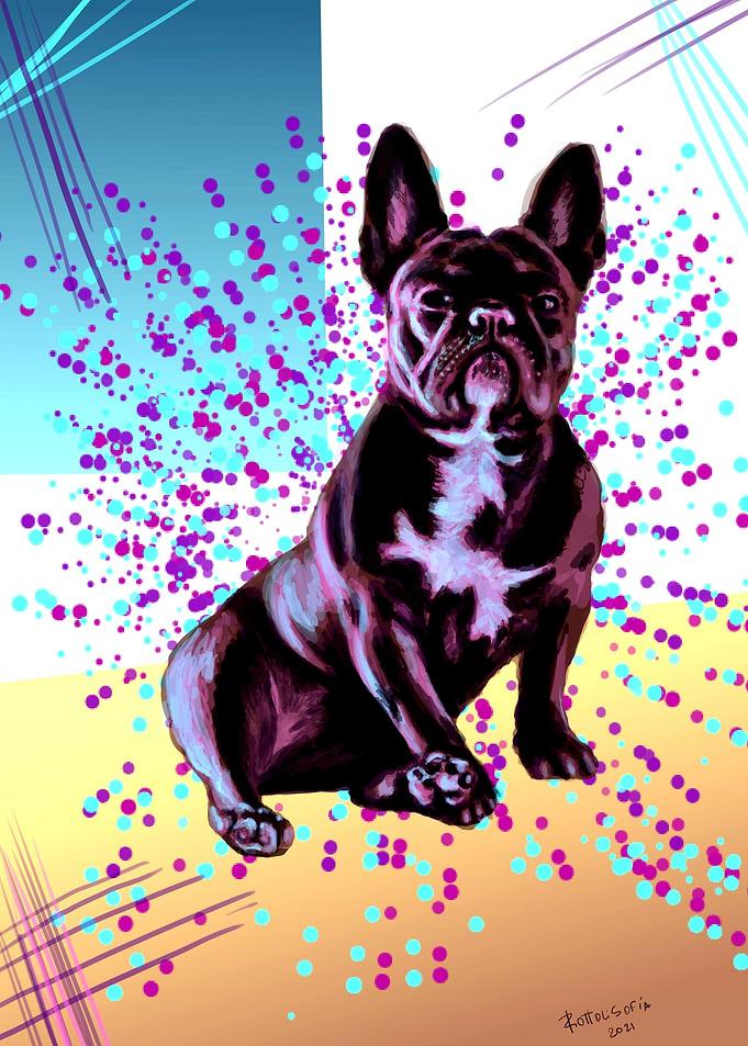 Buldog Frances
