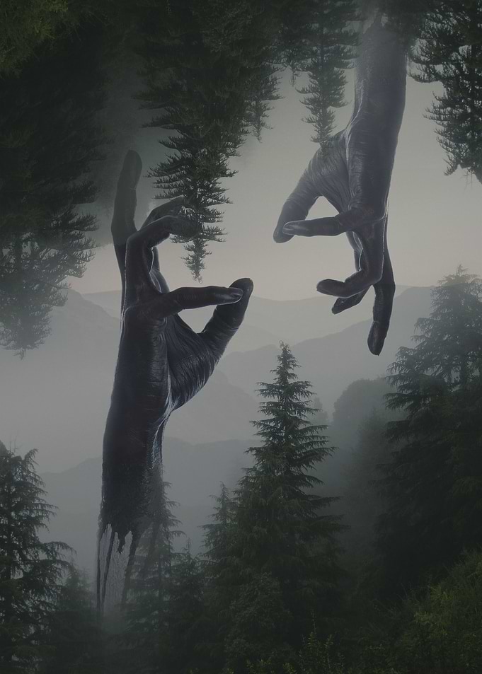 Reaching Out