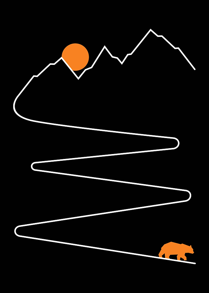 The Sunset Bear