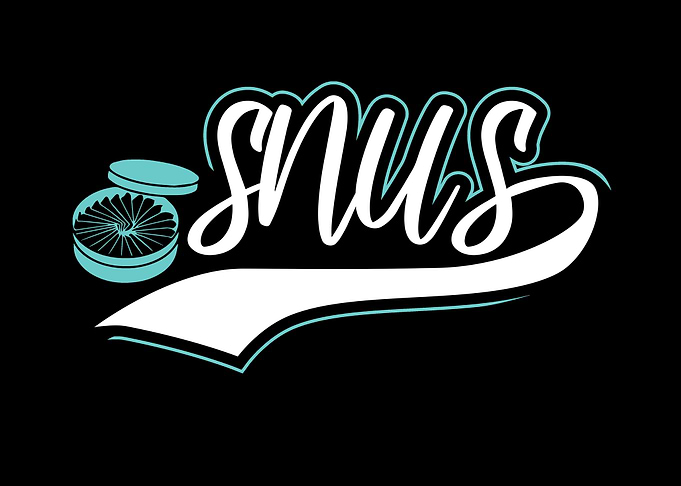 SNUS rauchfrei Nikotin