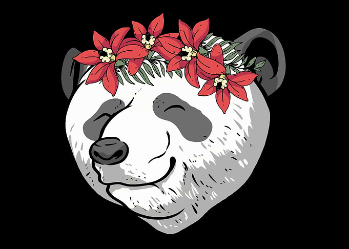 Panda Bear