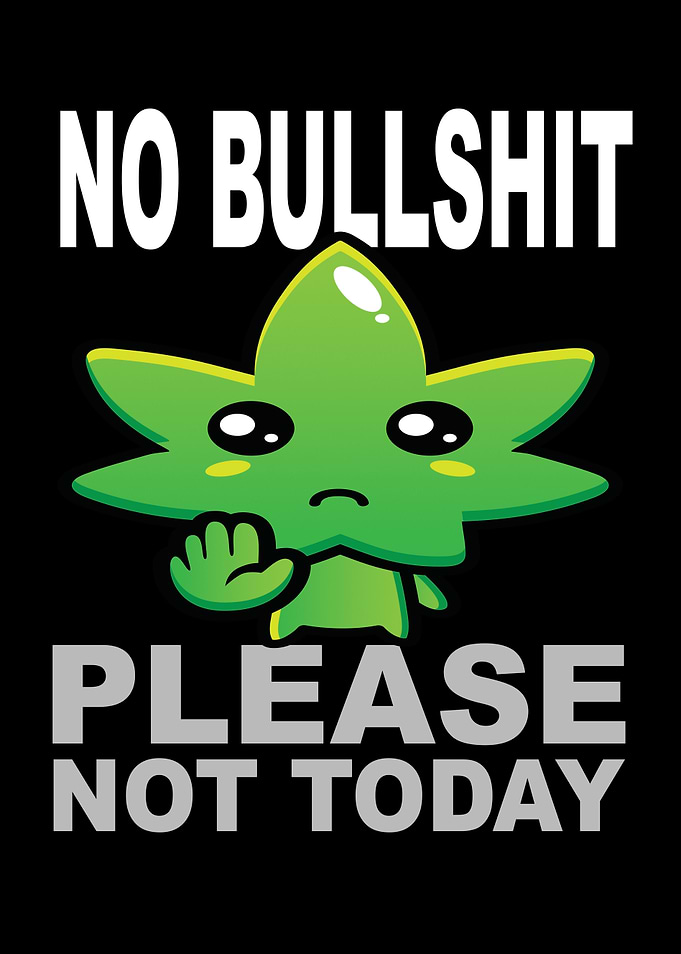 No Bullshit Please Not