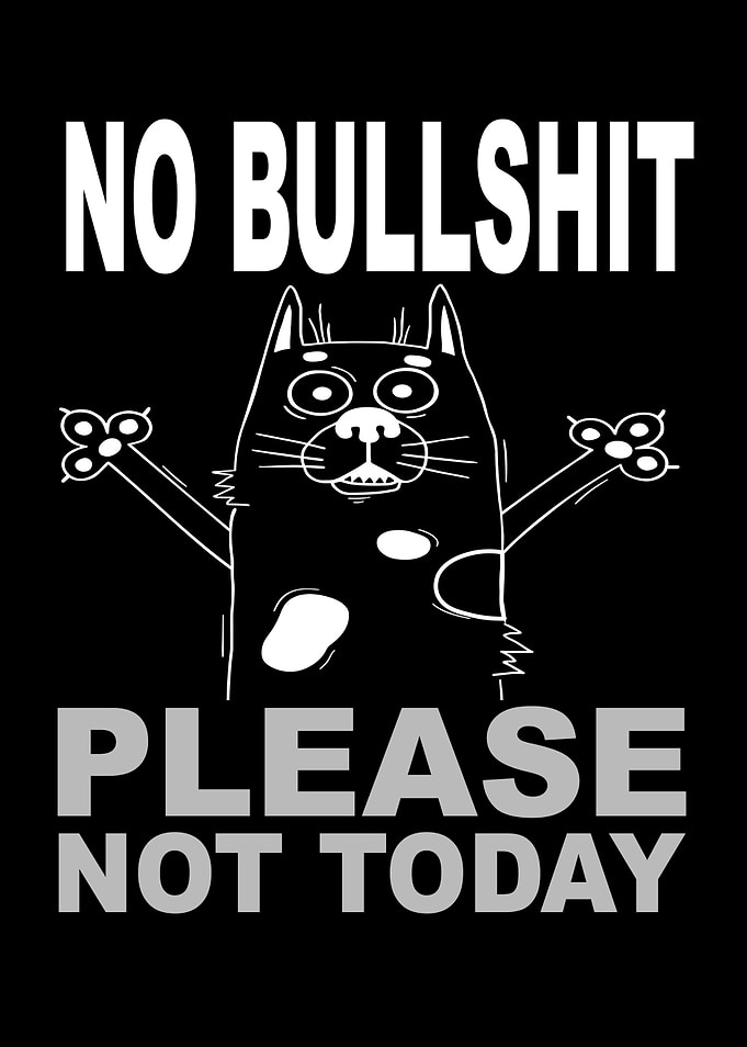 No Bullshit Please Not