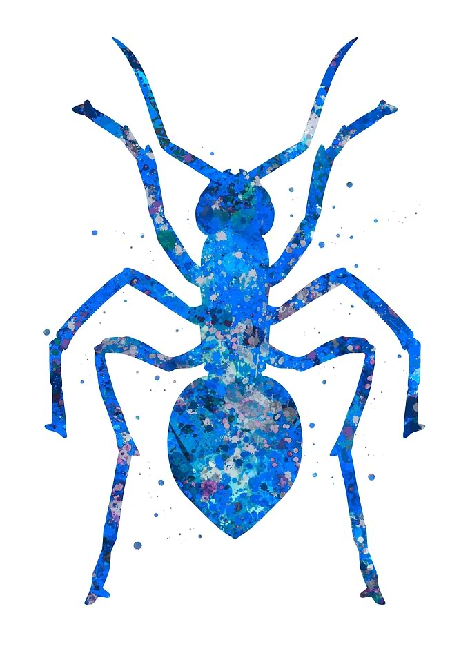 Ant animal blue