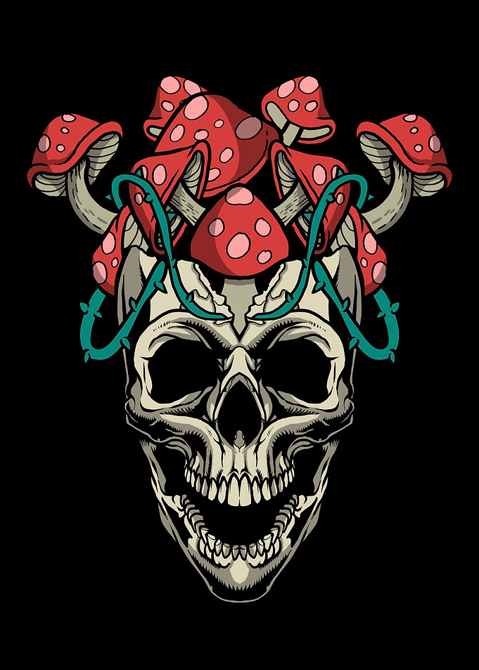 Mushroom