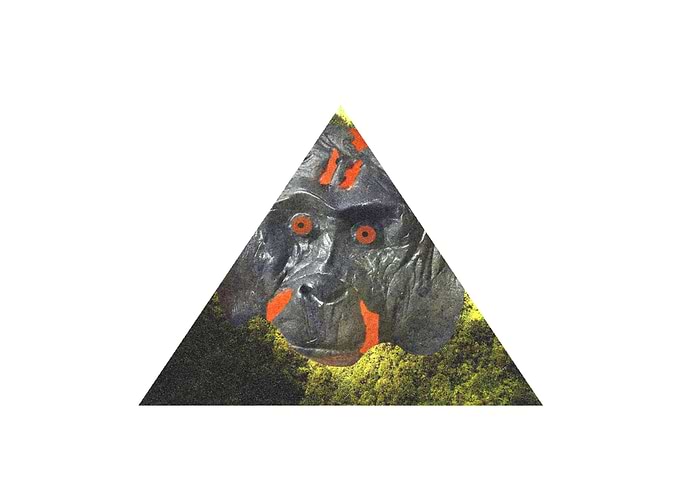 3d