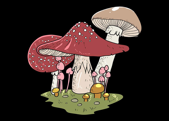 Mushroom