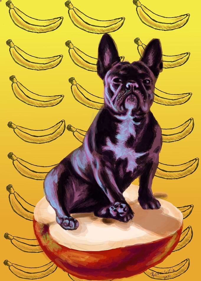 Buldog manzana voladora