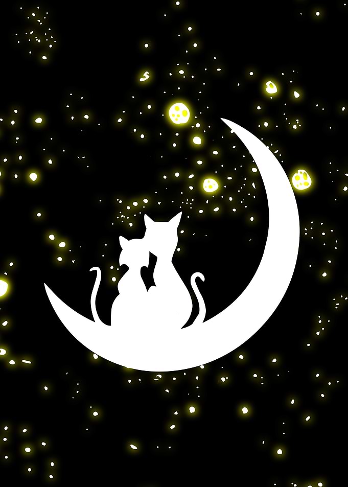 Cats on the moon