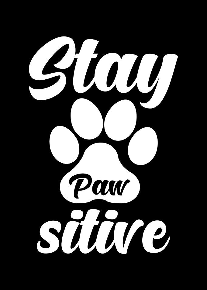 Stay Powsitive