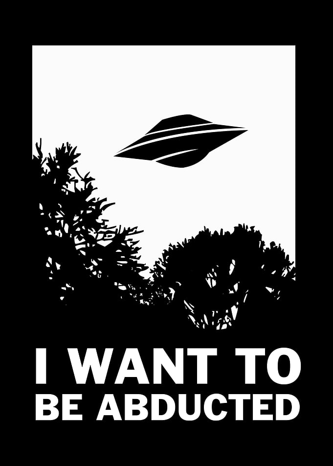 I Want To Be Abducted