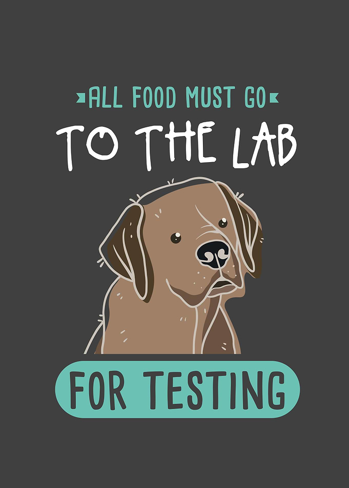 Labrador Dog