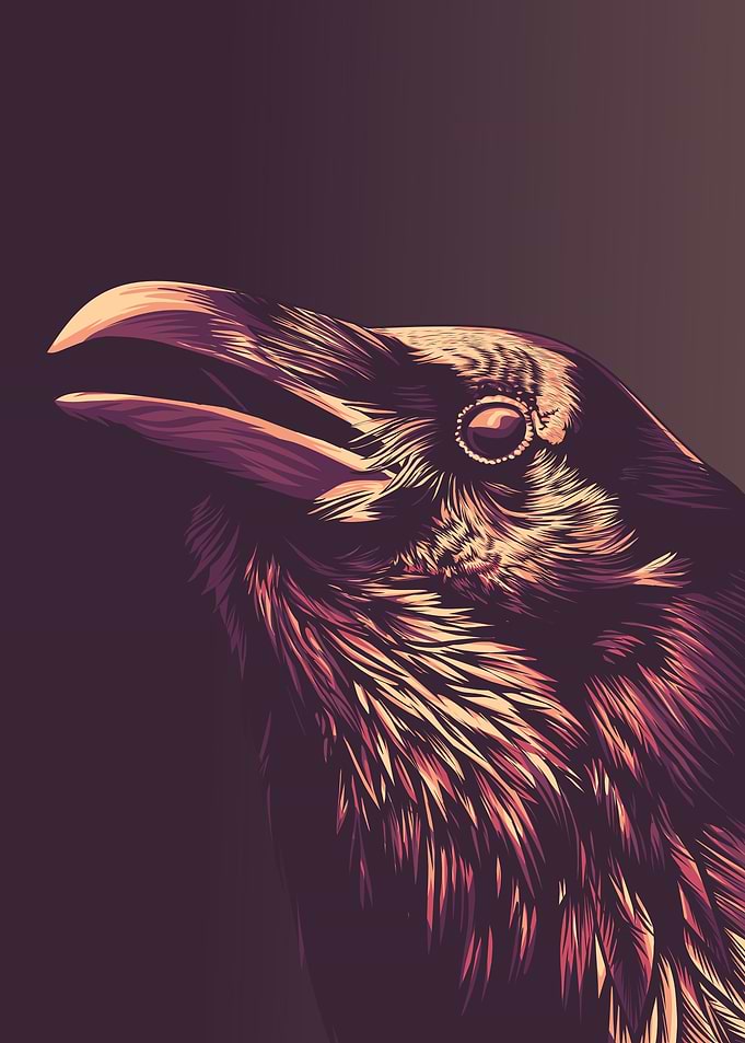 crow popart potrait