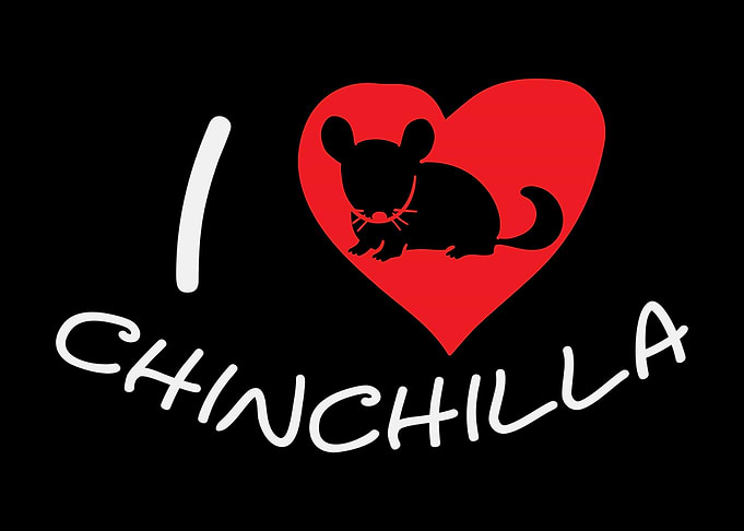 I Love Chinchilla Rodent