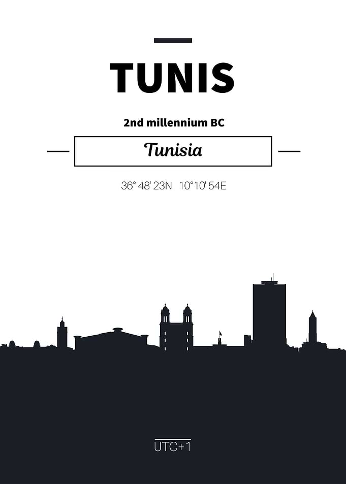 Tunis Tunisia Skyline