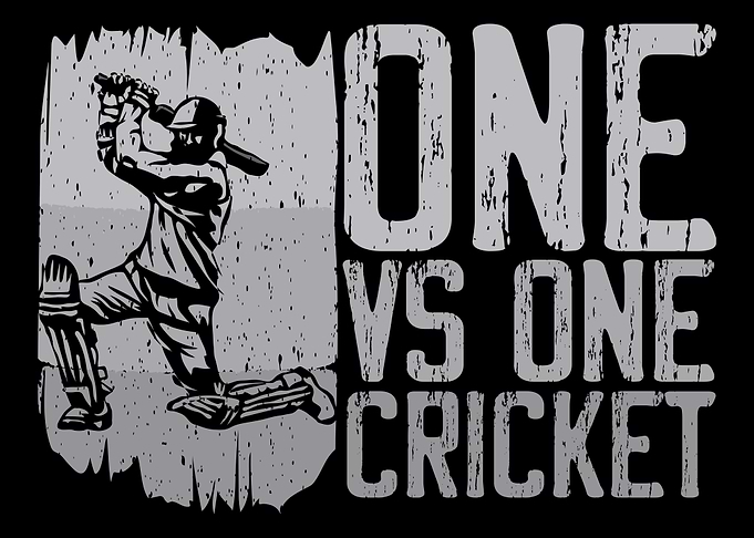 One vs One Cricket Player