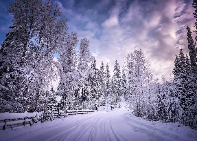 Finland Winter Snow nature