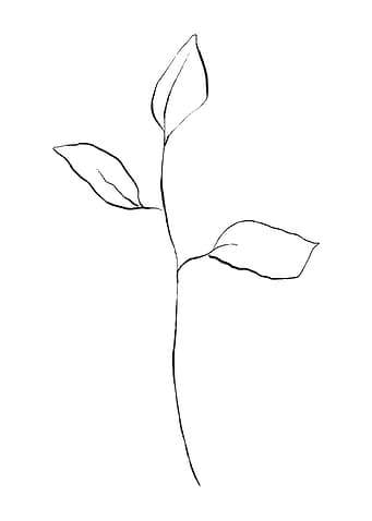 Sappling