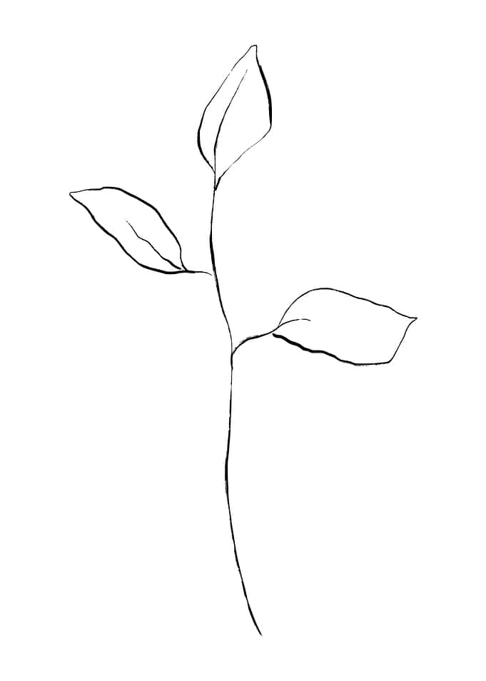Sappling