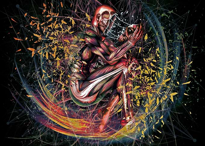 Vanishing Anatomy