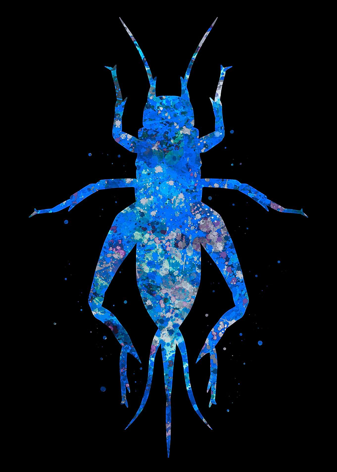 Grasshopper blue abstract