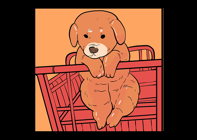 Shopping Dog Owner Gift