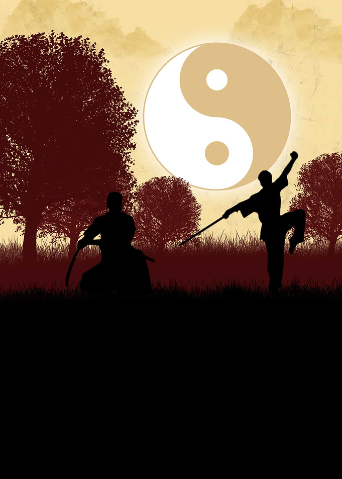 samurai a Shadow