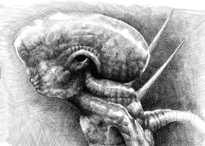 Young Alien Left Profile Sketch