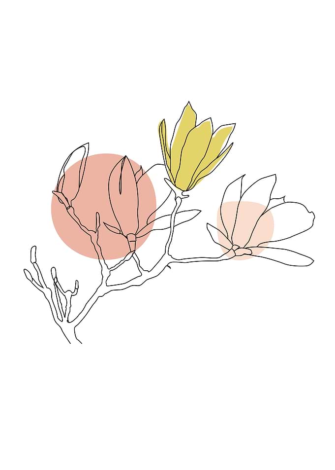 Flower line art poster