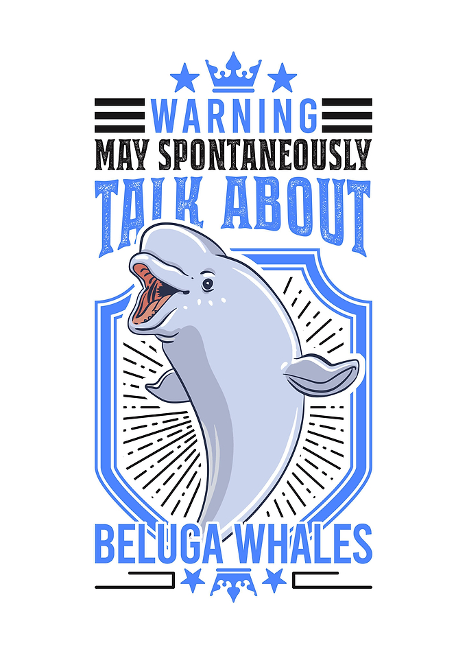 Beluga Whale Gift