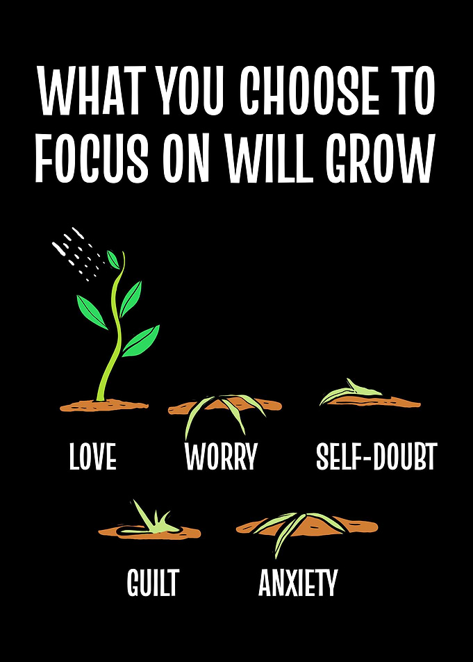 Choose To Focus Grow