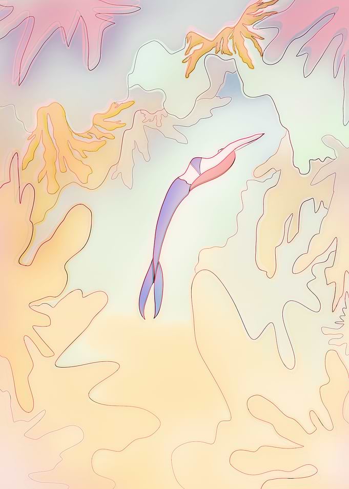 A summer dive