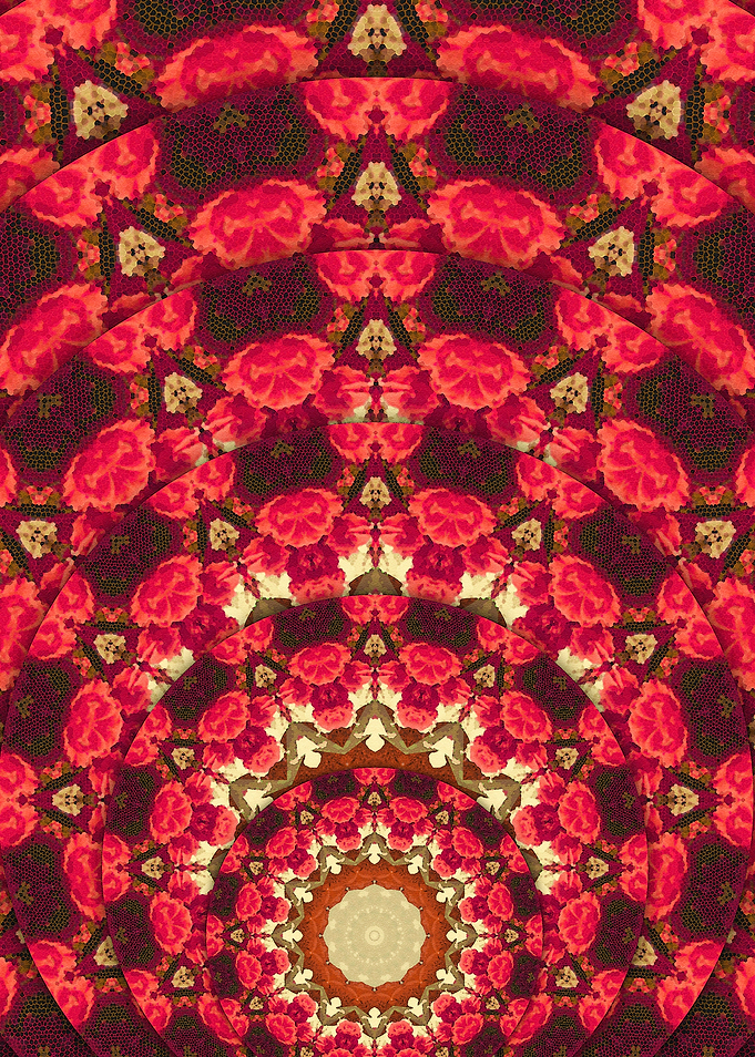Fantasy Flower Pattern