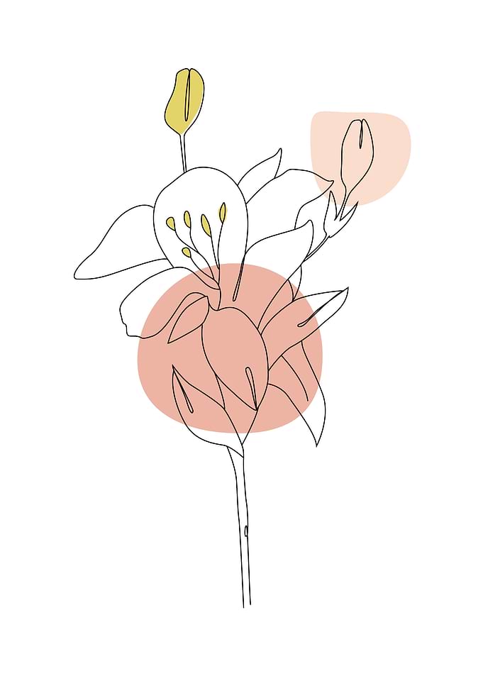 Flower line art poster