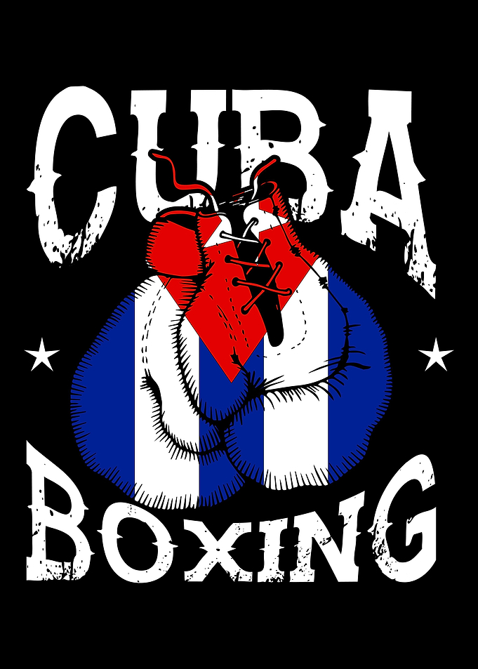Boxing Gloves Fighting